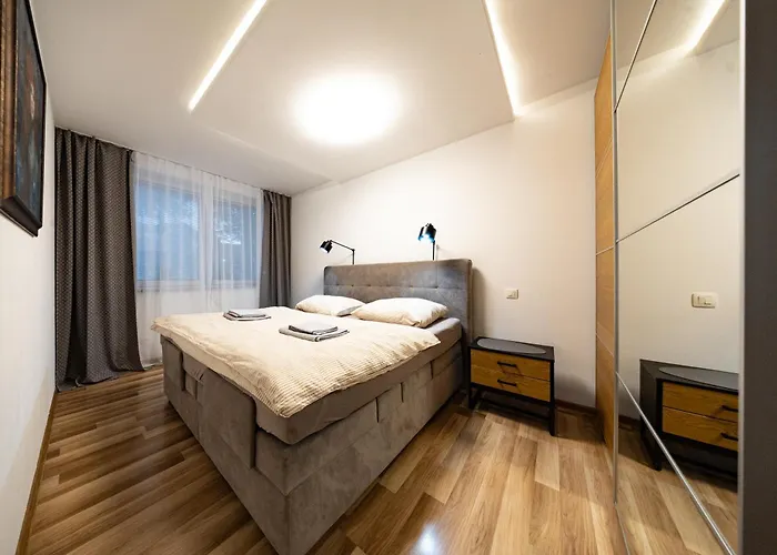 S Wellnes Apartman *