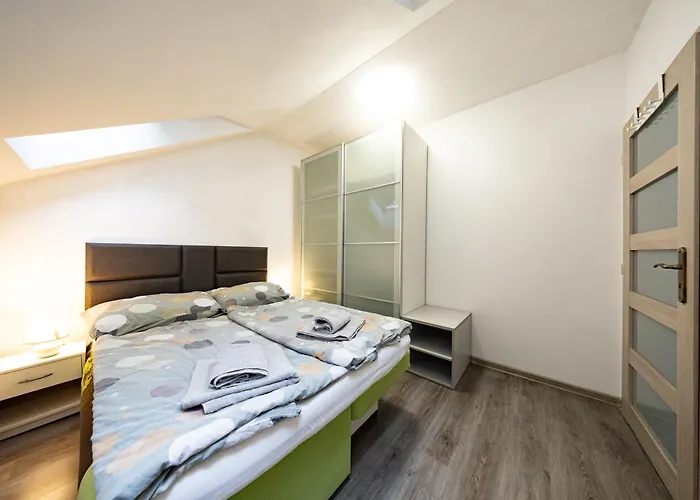 S Wellnes Apartman *
