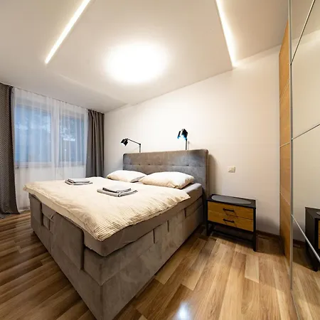 S Wellnes Apartman *