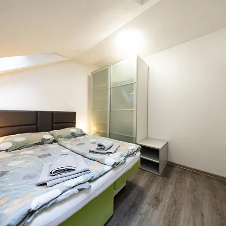 S Wellnes Apartman *