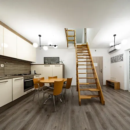 S Wellnes Apartman *